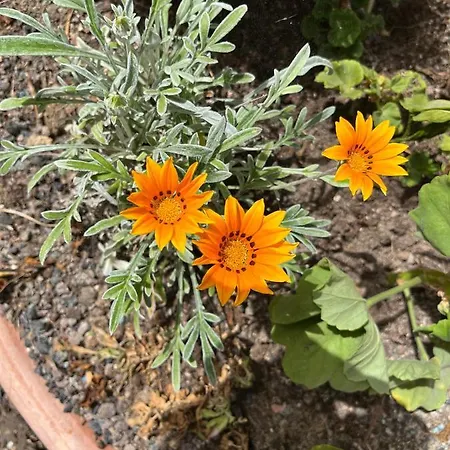 Surf & Chill 69, Quiet Oasis With Community Swimmingpool