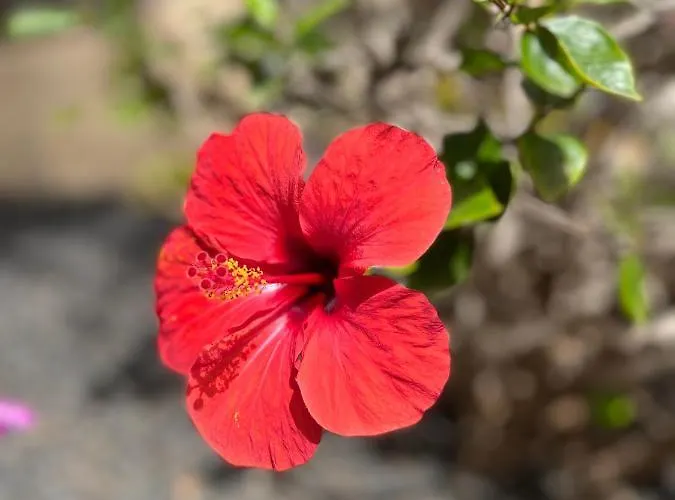 Surf & Chill 69, Quiet Oasis With Community Swimmingpool Ferienhaus