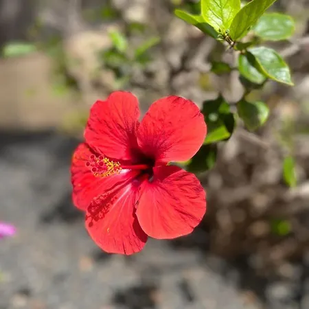 Surf & Chill 69, Quiet Oasis With Community Swimmingpool Сasa de vacaciones