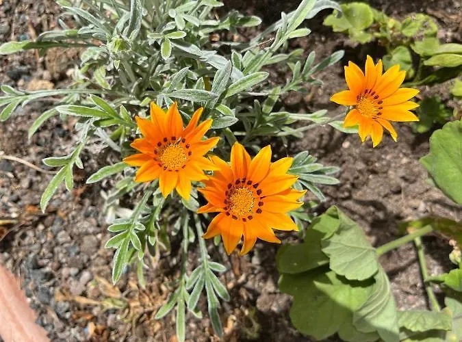 Surf & Chill 69, Quiet Oasis With Community Swimmingpool